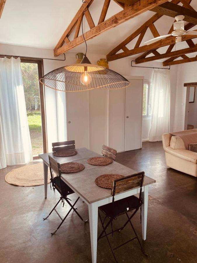 Casa Cote Sud - Mas Bois Fontaine Villa Nimes Luaran gambar