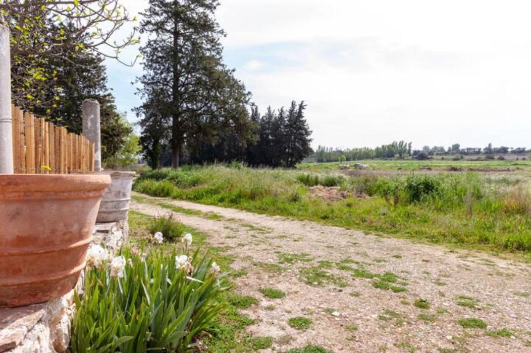 Casa Cote Sud - Mas Bois Fontaine Villa Nimes Luaran gambar