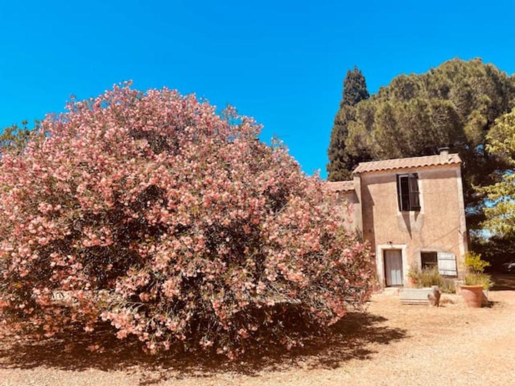 Casa Cote Sud - Mas Bois Fontaine Villa Nimes Luaran gambar